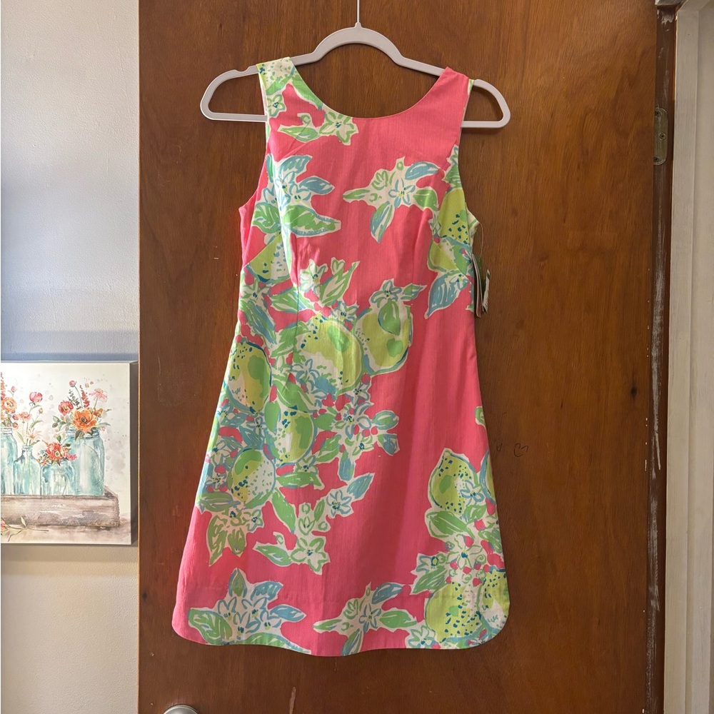 Lilly Pulitzer Hotty Pink and Lemonade Green Dress